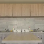 Nicoleta Penzion 2*