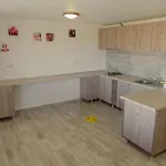 Nicoleta