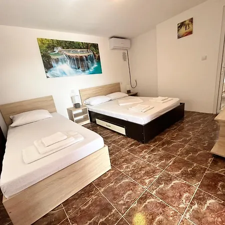 Nicoleta Pensionat 2*