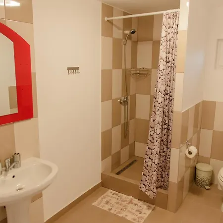 Casa de hóspedes Nicoleta