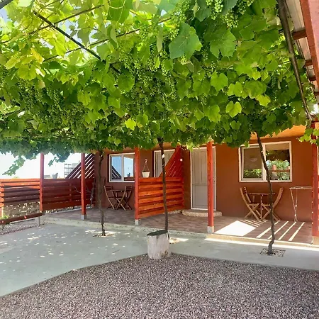 Casa de hóspedes Nicoleta