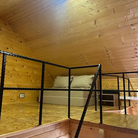 Nicoleta Konukevi 2*